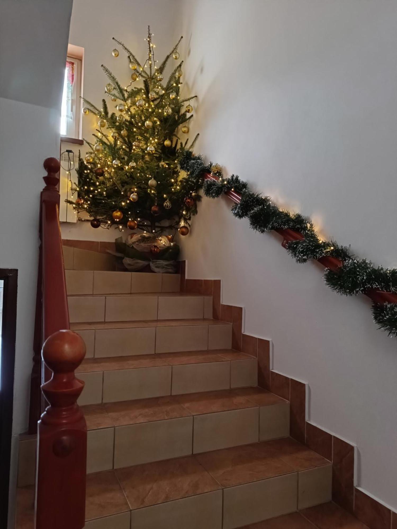 Noclegi U Brody Hoczew Exterior foto