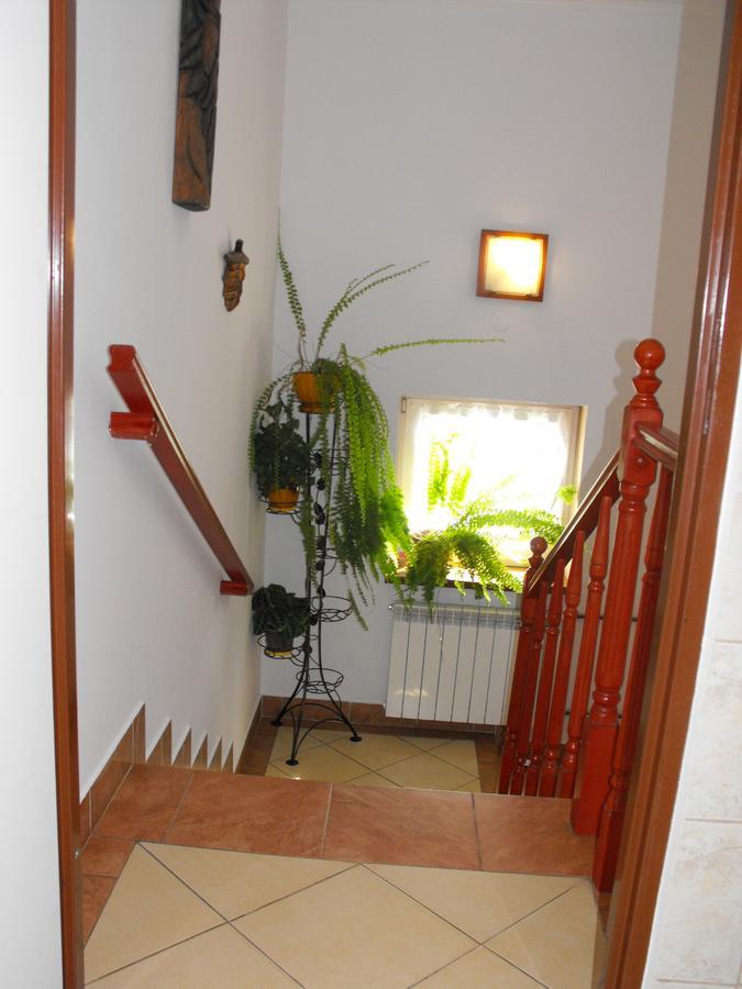 Noclegi U Brody Hoczew Exterior foto